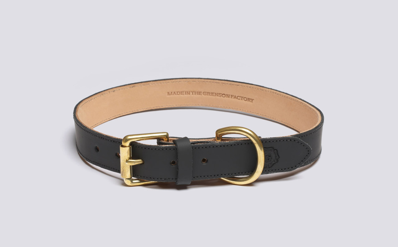 Bark collar large hotsell breed